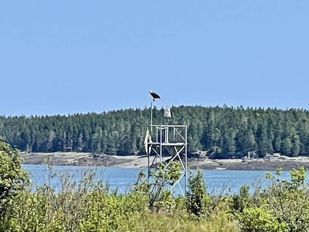 Foto 5 von 26: Wow! Private 3acre Oceanfront Home, whales,eagles,walkable to village/Dog Island