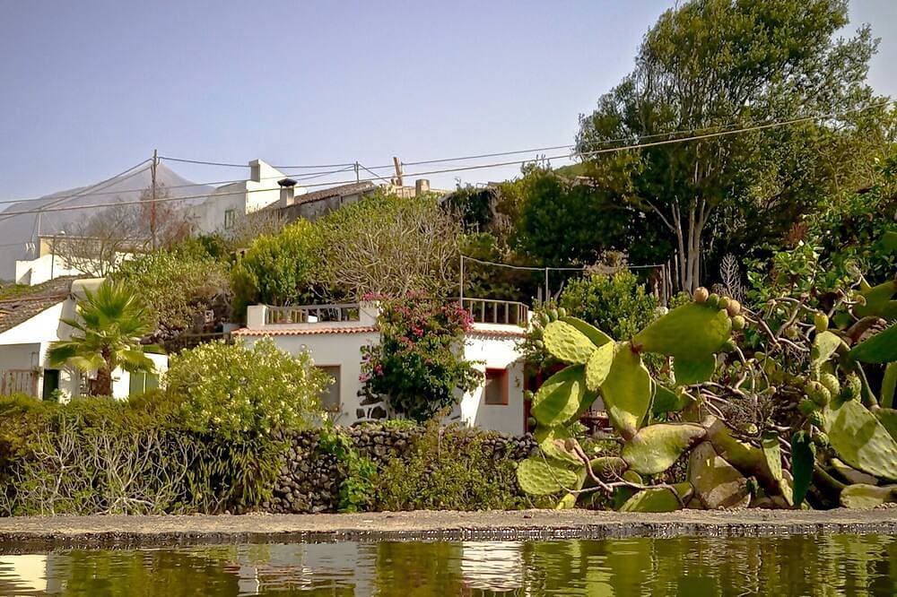 Foto 10 von 30: Casa Primavera - echtes Teneriffa !