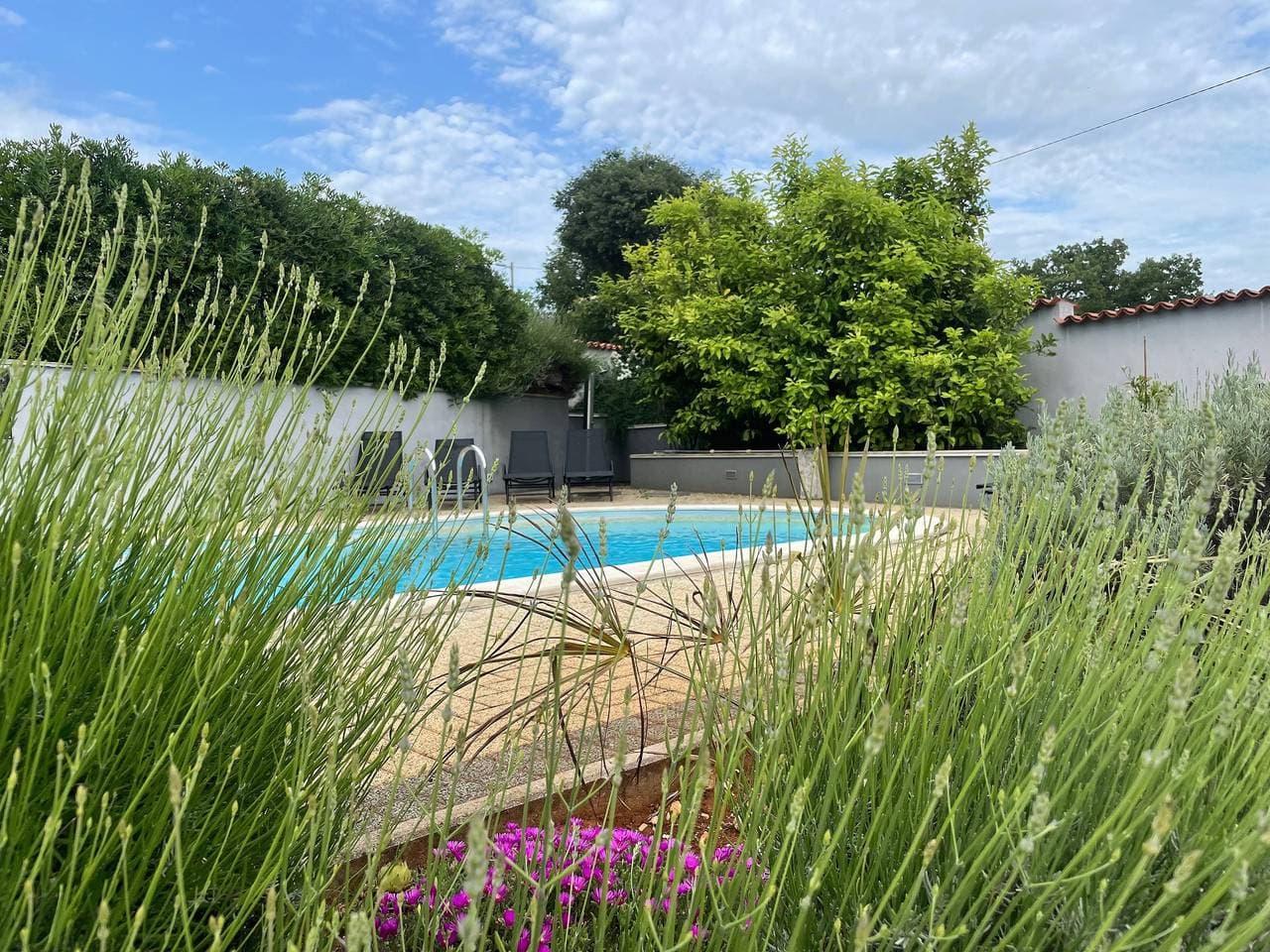 Foto 2 von 38: Villa Elisa with Pool and Sea view in Istria