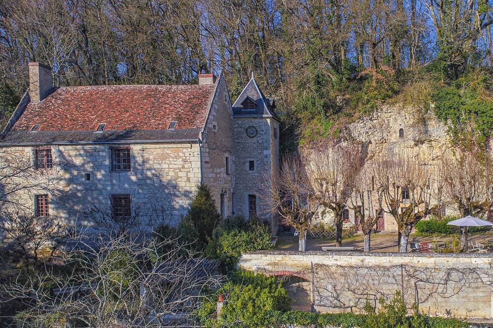 16th century manor house with 4 bedrooms near Chenonceau and Beauval Zoo 1