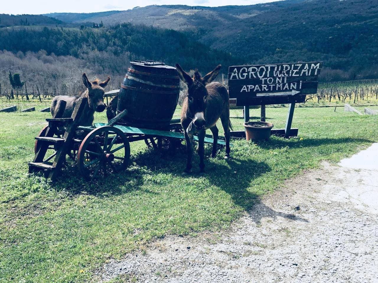 Agroturizam Toni 1