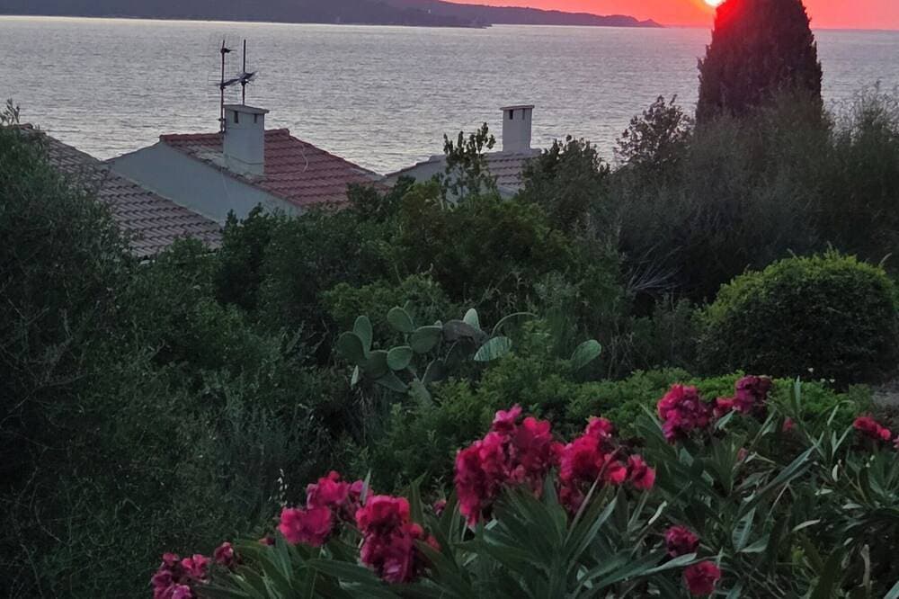 Foto 7 von 7: One-bedroom apartment right on the water, 5 minutes from St. Florent.