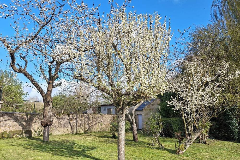Foto 13 von 30: Maison de Campagne Avec Grand Jardin - Beaucoup de Cachet