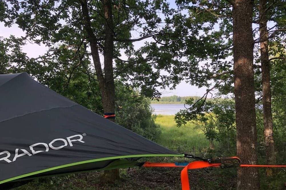 Foto 7 von 8: Tree-tent overlooking lake in private woodland