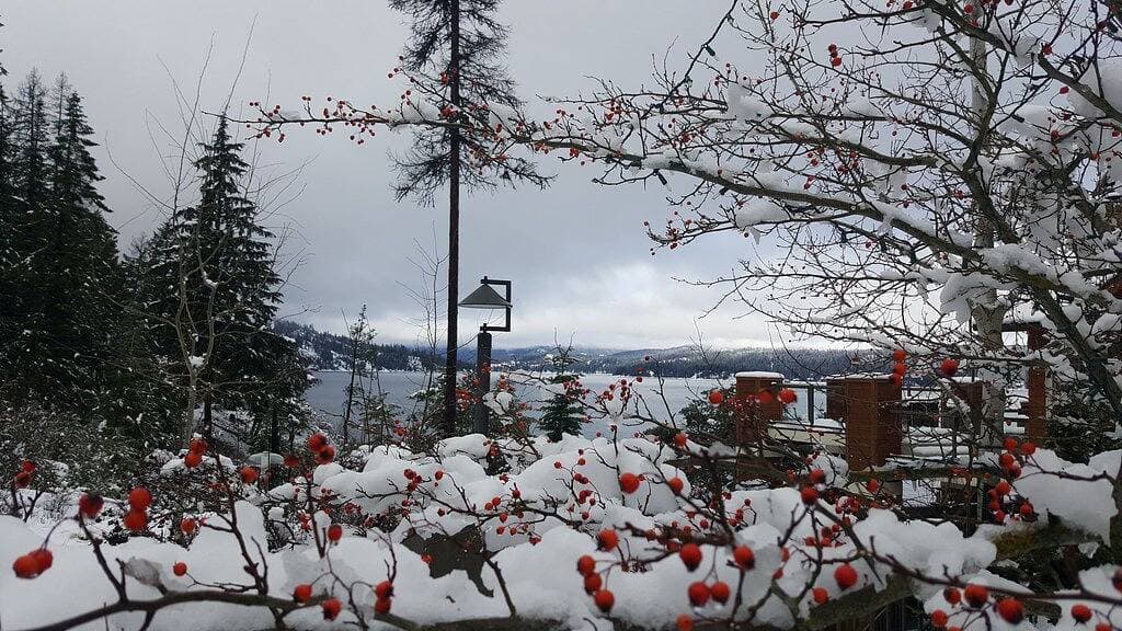 Coeur d'Alene Lakefront Luxury Retreat mit Whirlpool, Sauna, Bootsrutsche und vielem mehr. 1