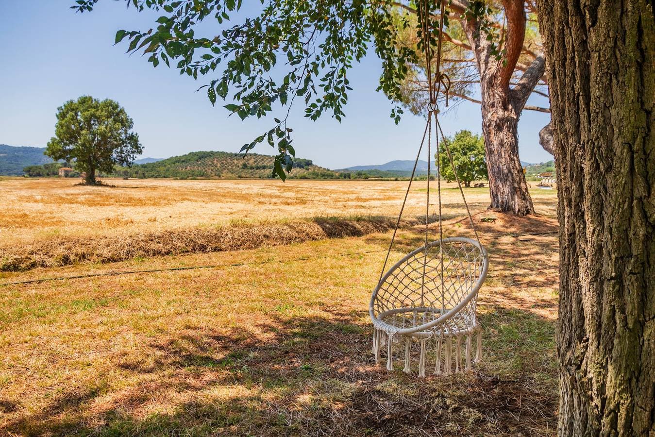 Foto 7 von 39: Zimmer 'Oliva' mit Gemeinschaftsgarten und WLAN
