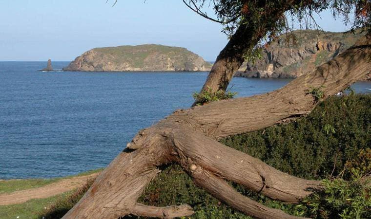 Foto 5 von 50: Holiday Home