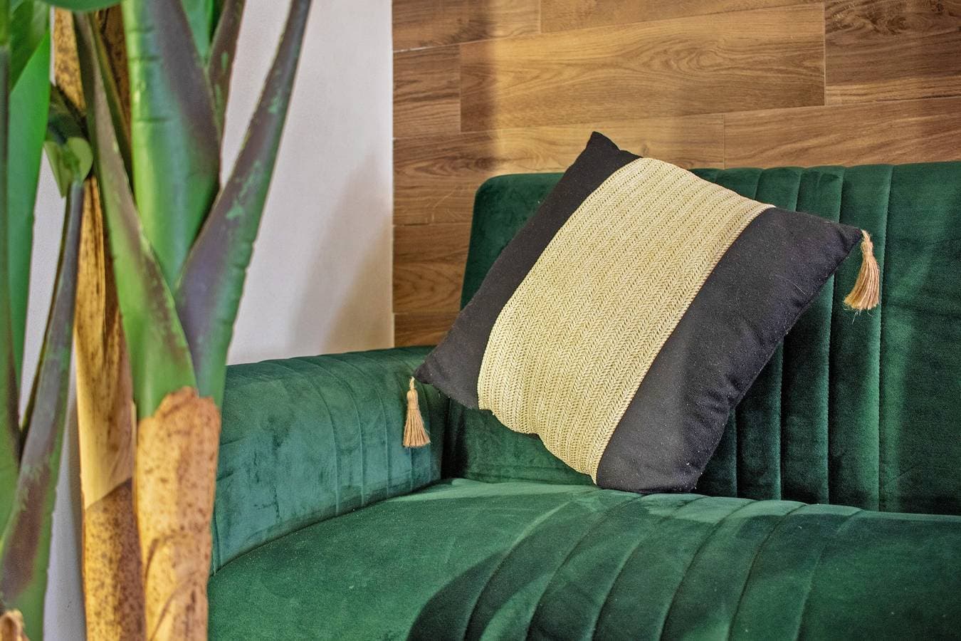 Foto 13 von 29: Ferienwohnung 'Angelsuite' mit Wi-Fi und Klimaanlage