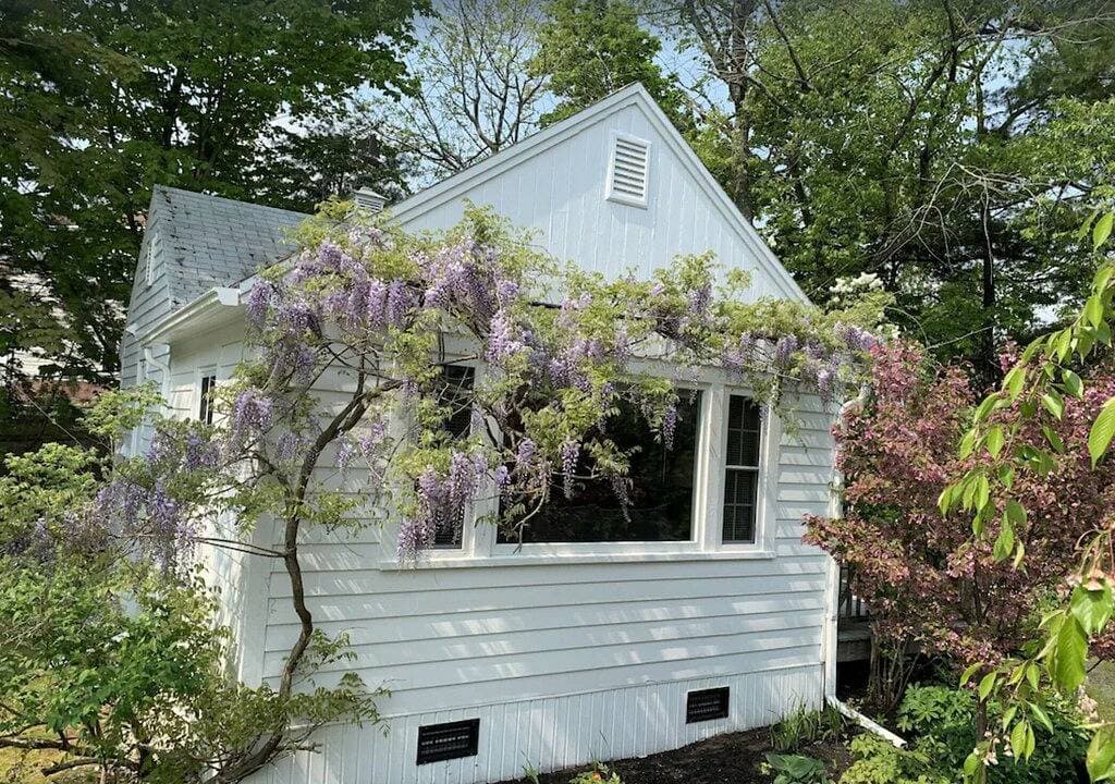 Foto 6 von 19: Awesome location downtown. Walk to the beach, marginal way