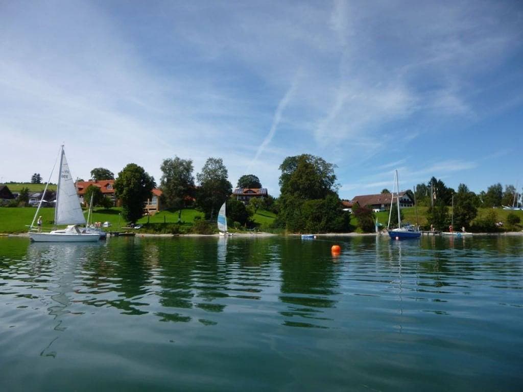 Foto 5 von 21: Hütte in Dietringen mit Schwimmbecken