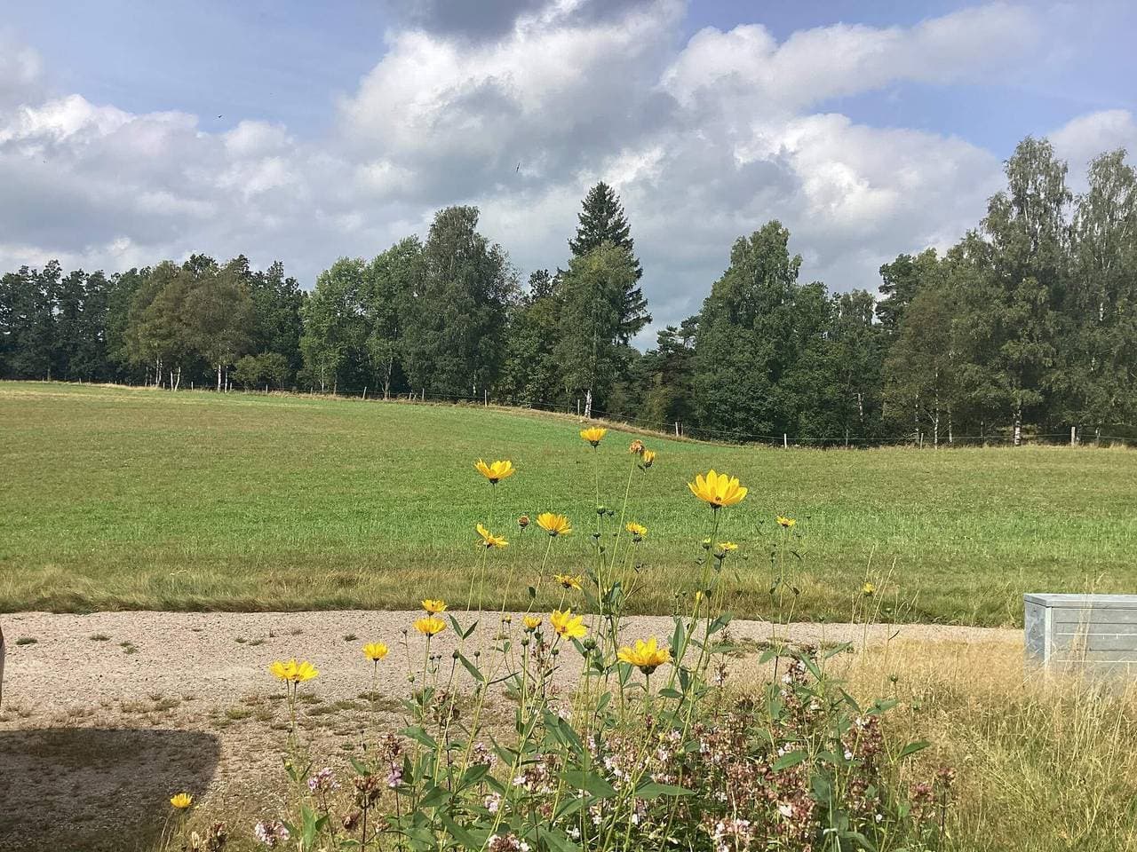 Foto 7 von 26: 4 Personen Ferienhaus in Torup