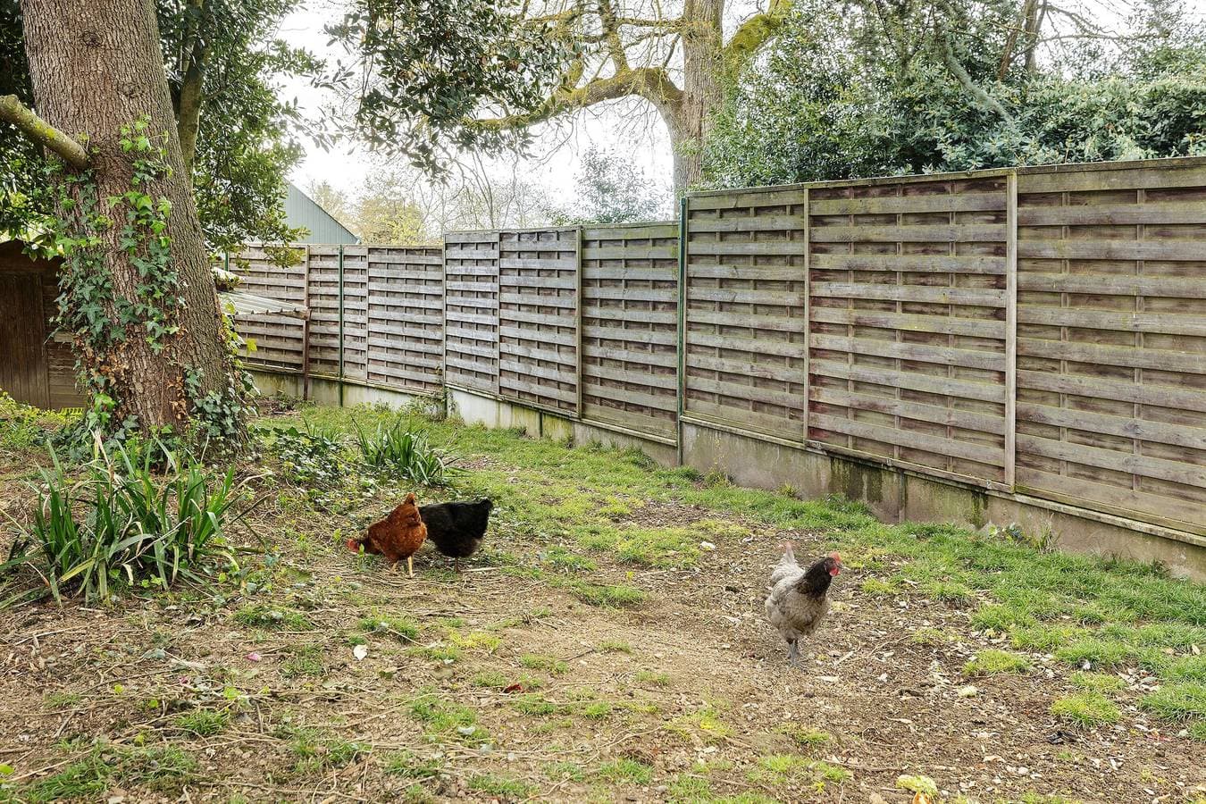 Foto 6 von 16: Gîte „Am Rande von Angers“ mit privater Terrasse und Garten, nahe Terra Botanica