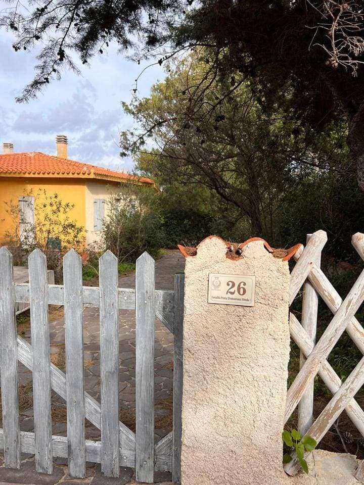 Foto 12 von 25: Holiday Home