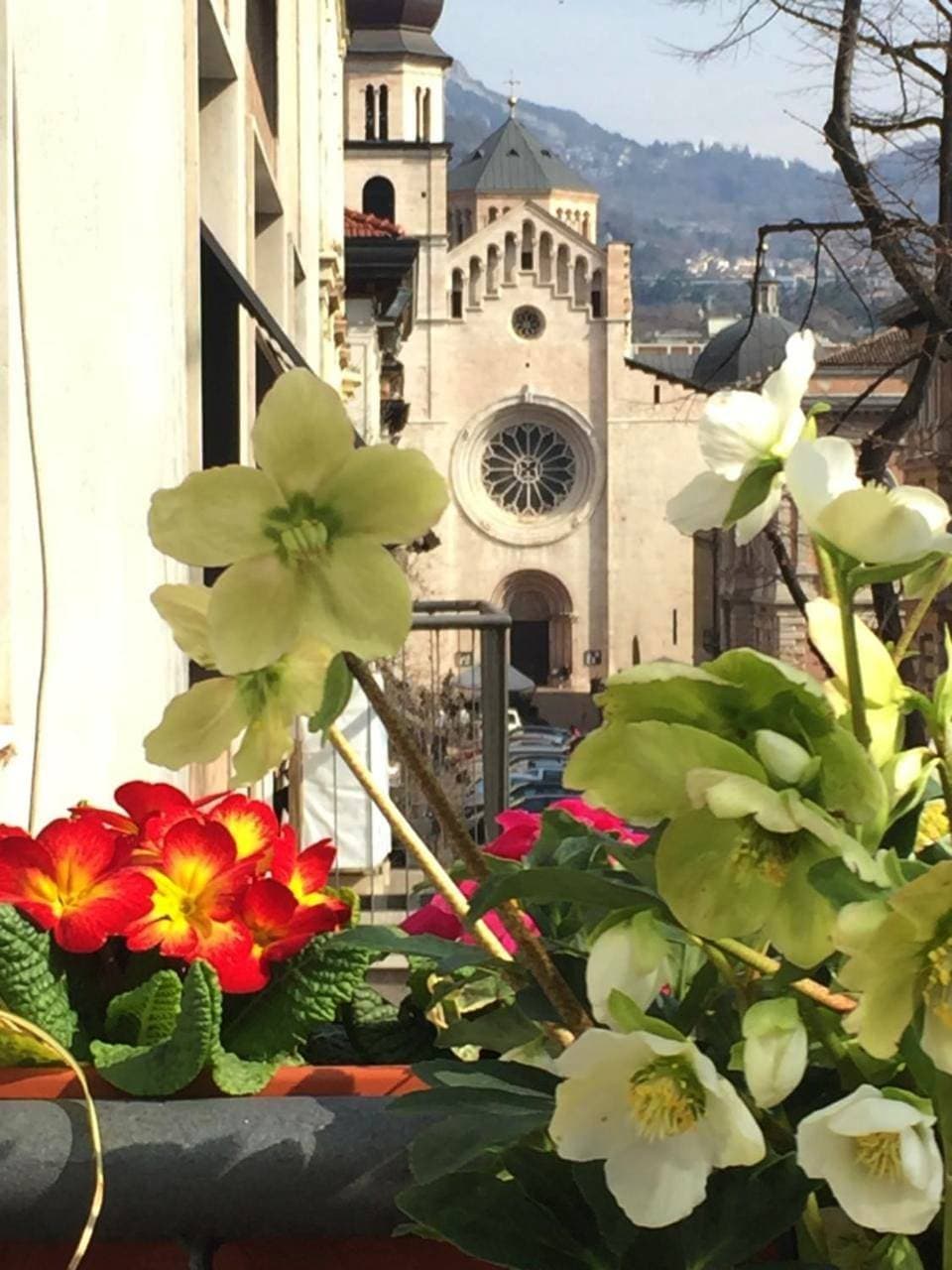 B&B Homer Trento 1
