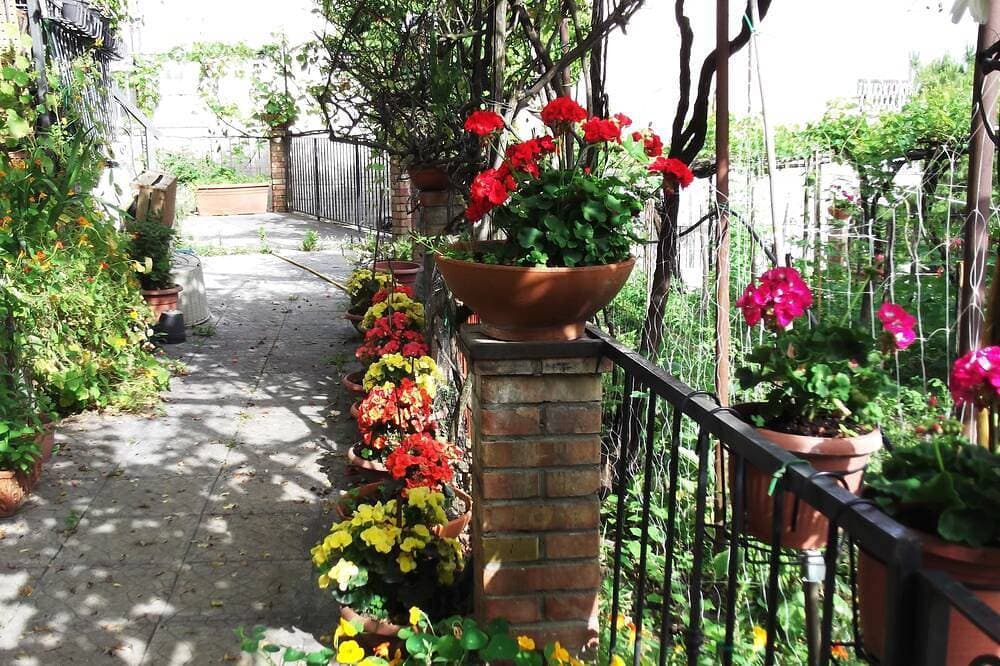 Foto 13 von 27: Mimosen am Anfang der Amalfiküste