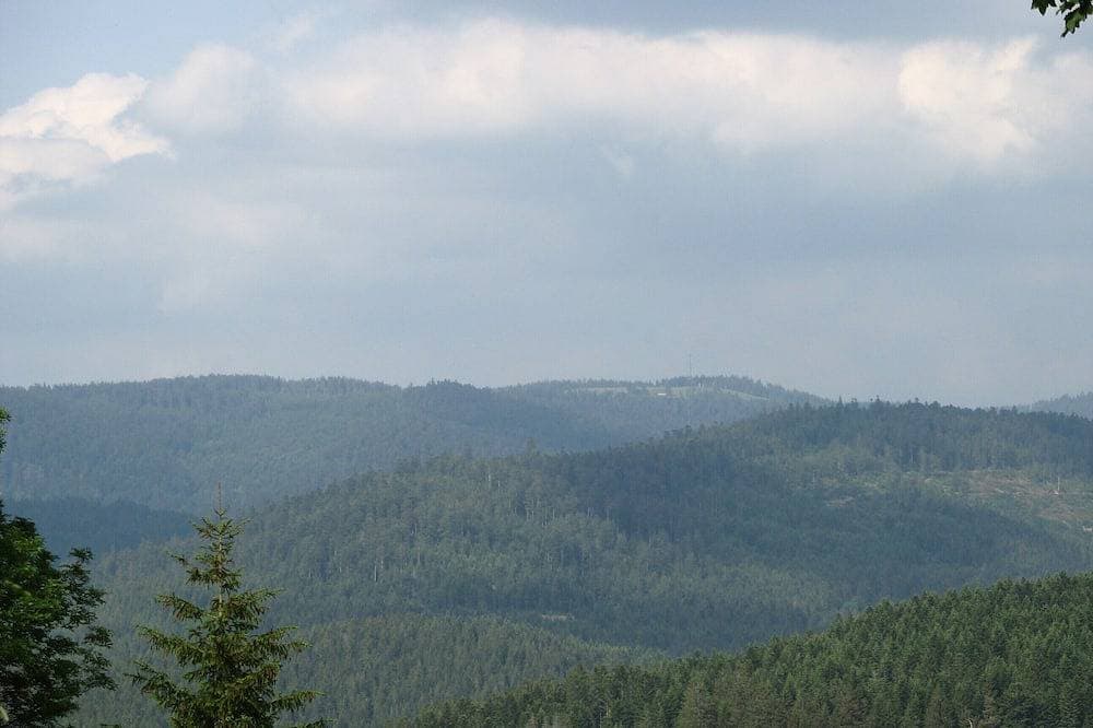 Foto 11 von 14: Am Waldrand ruhiges, gemütliches Holzchalet