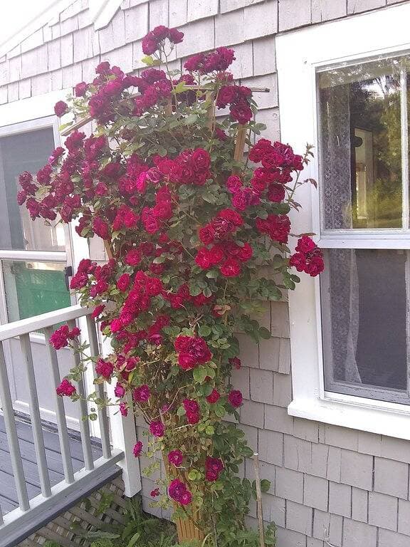 Foto 5 von 19: Quaint Retro Ash Cove Cottage