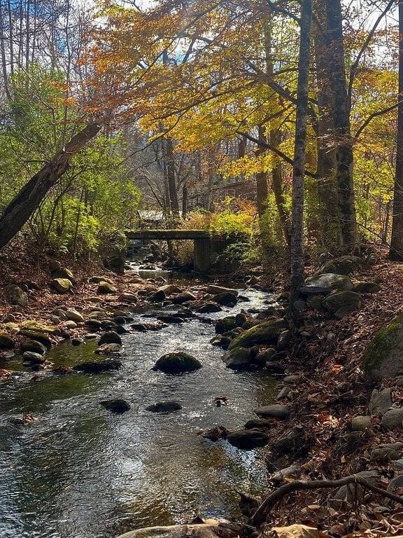 Foto 9 von 39: Creekside Rückzugsort • Whirlpool • Smoky Mountains