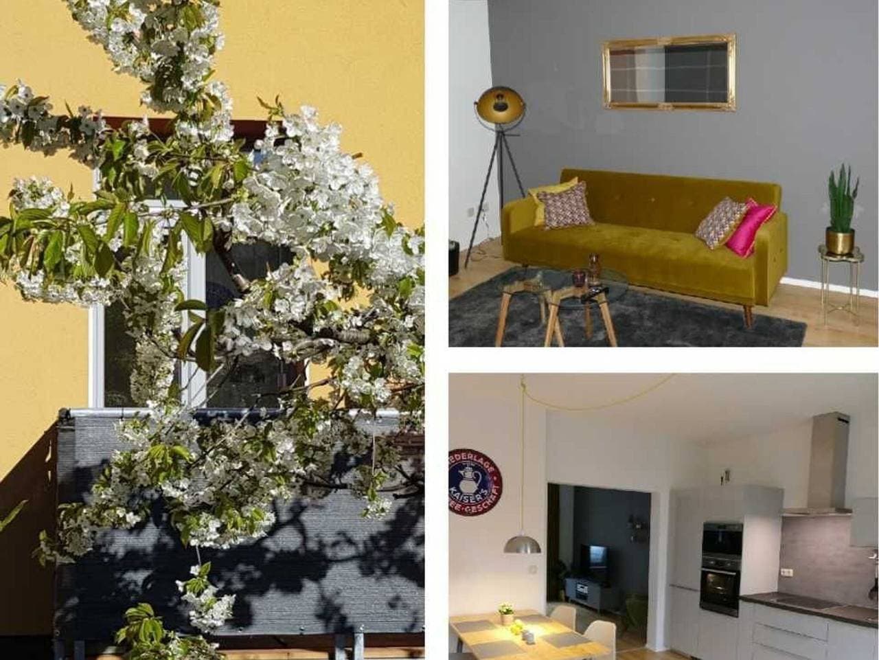 Foto 2 von 37: Ferienwohnung Am Stadthafen mit Balkon und Wi-Fi