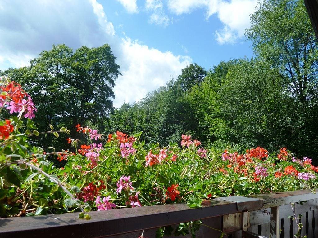 Foto 7 von 15: Haus Waldfrieden - Pension Haus Waldfrieden MeineCardPlus Doppelzimmer