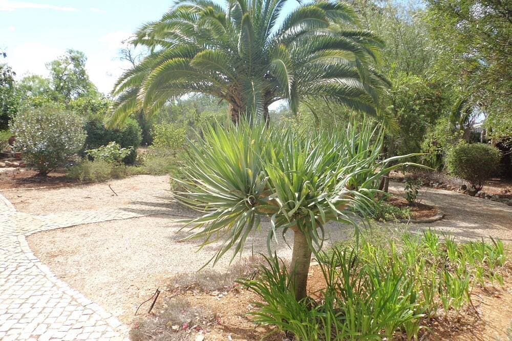 Foto 13 von 23: Villa mit eigenem Pool, Klimaanlage, herrlichem Garten und Blick auf die Landschaft