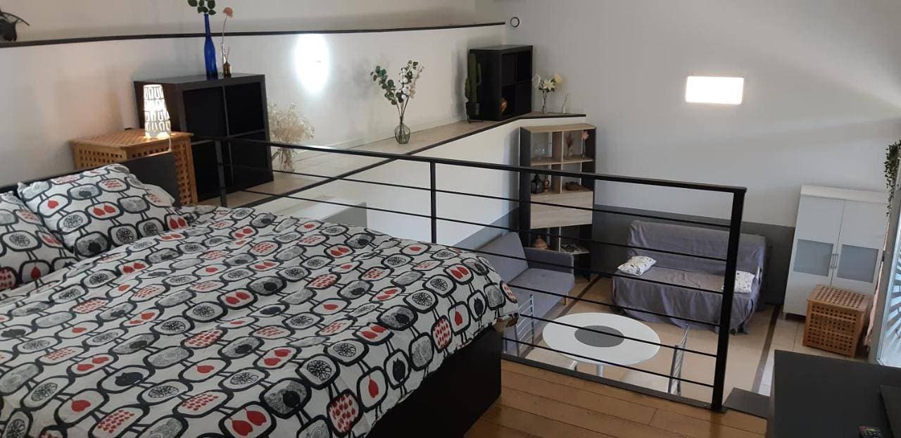 Petit loft face rivière 1