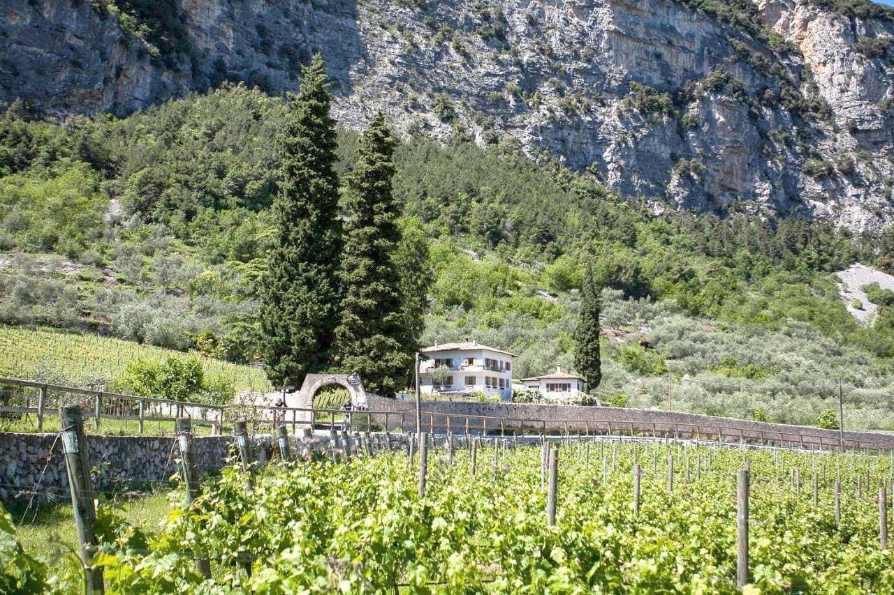 Agriturismo Maso Lizzone 1