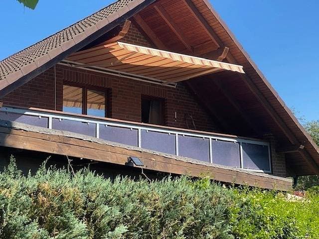 Seeadler am Schweriner See - nur Feriengäste! 1