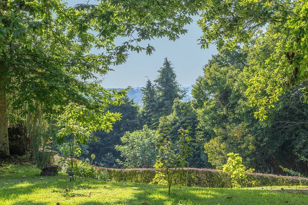 Foto 4 von 28: Suite Magnólia mit Gemeinschaftspool und privatem Garten