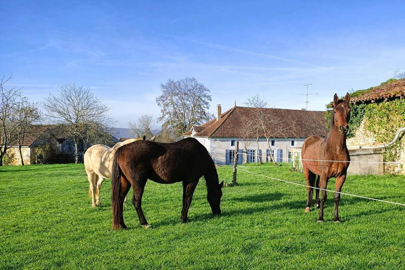 Foto 6 von 27: La Ferme du Breuilh