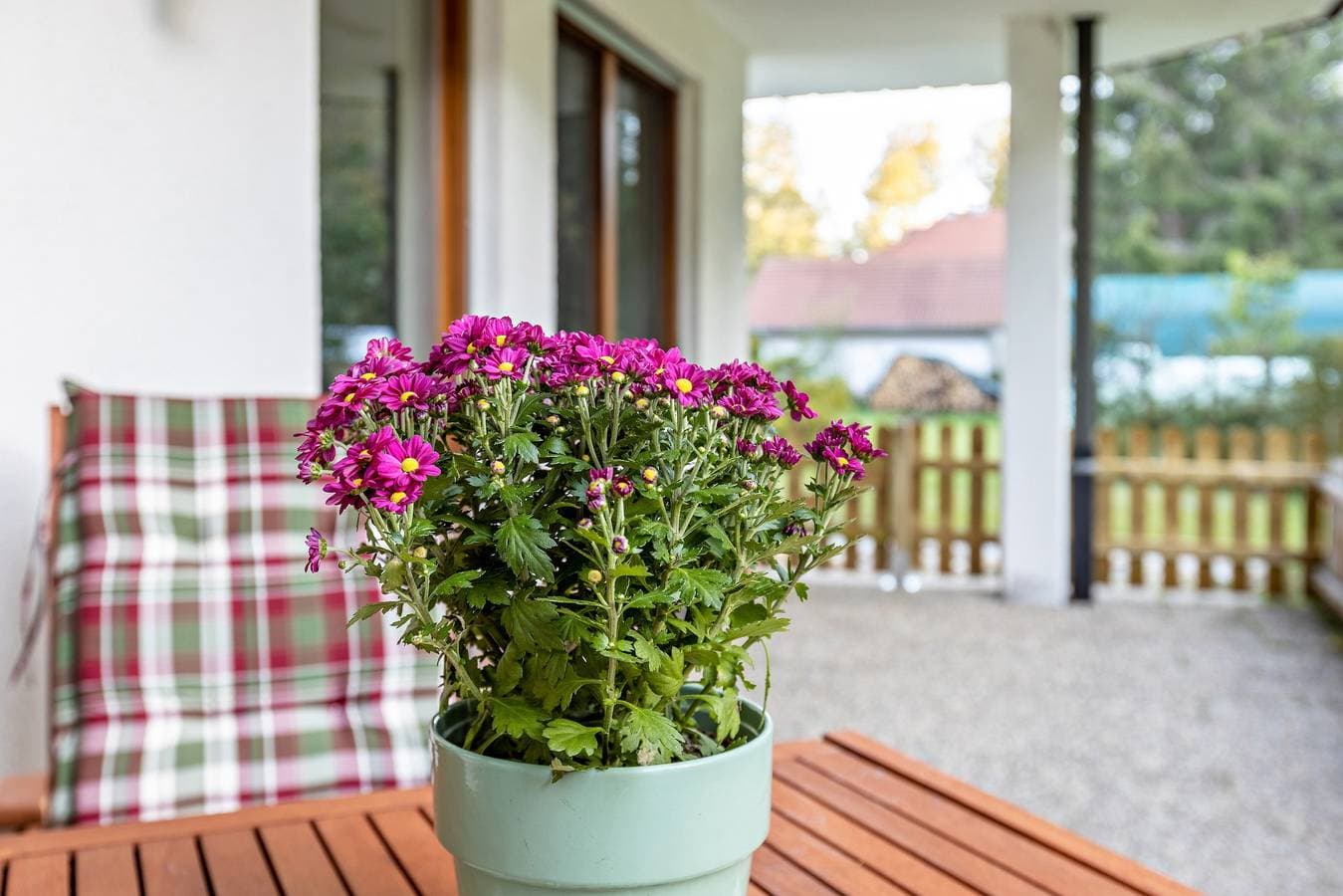 Foto 8 von 24: Ferienwohnung "Ruheoase" mit privater Terrasse und WLAN