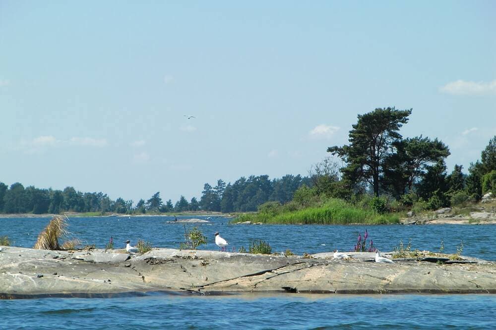 Foto 12 von 20: Ferienhaus Mit Fantastischer Lage Am Vänernsee