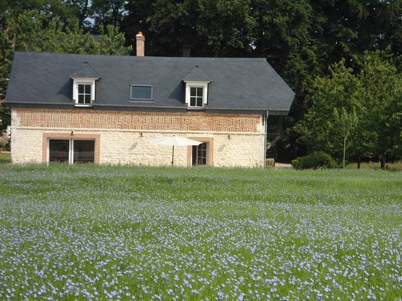 Foto 9 von 21: Gîtes de France® - Fleurs de Caux