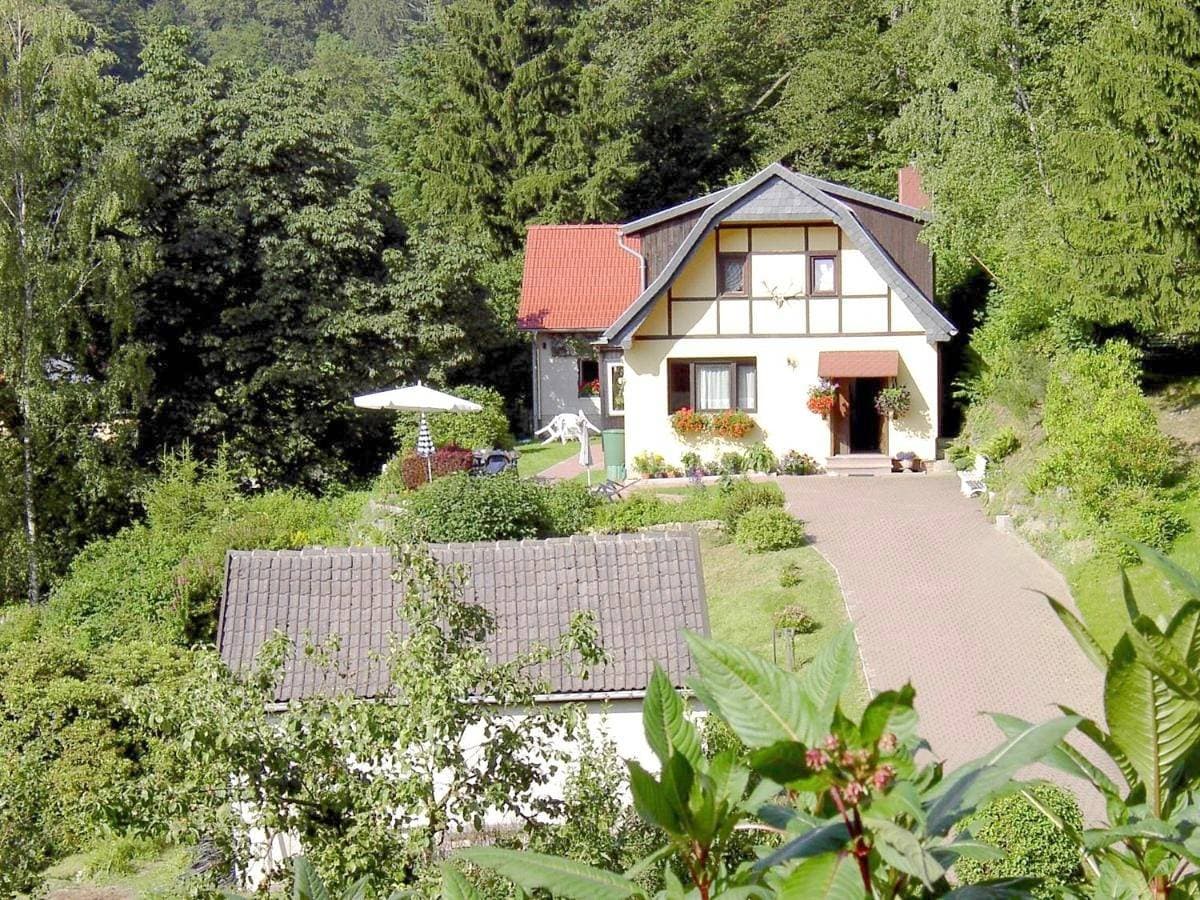 Birkenhain 1