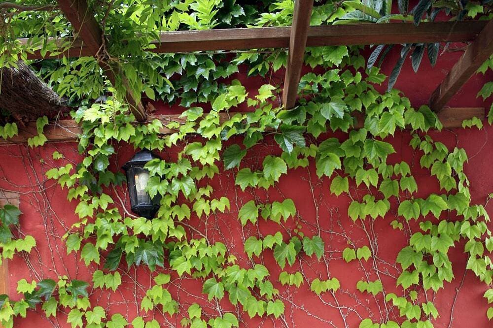 Foto 6 von 17: El Roble rural holiday home