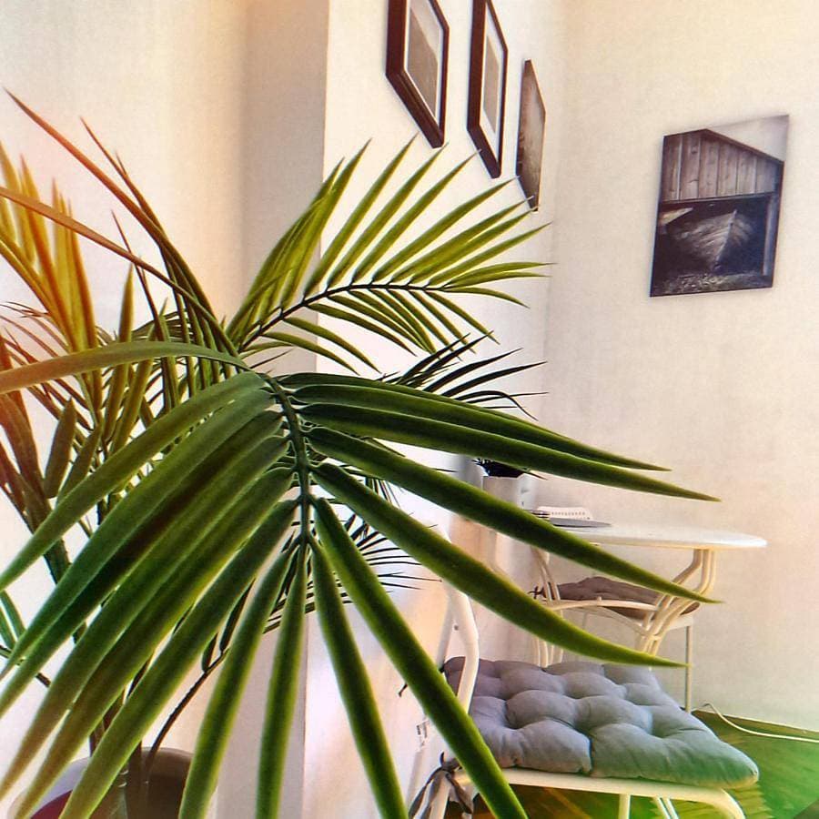 Central Ana Apartment Novi Sad 1