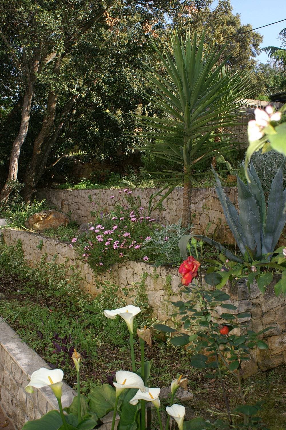 Foto 5 von 24: 2-Zimmer-Ferienwohnung mit Terrasse Zrnovska Banja, Korcula A-3154-b