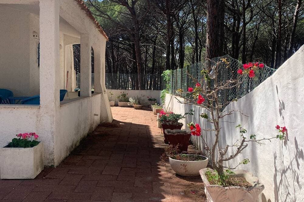 Foto 13 von 25: Herrliche unabhängige Villa, nahe dem Meer