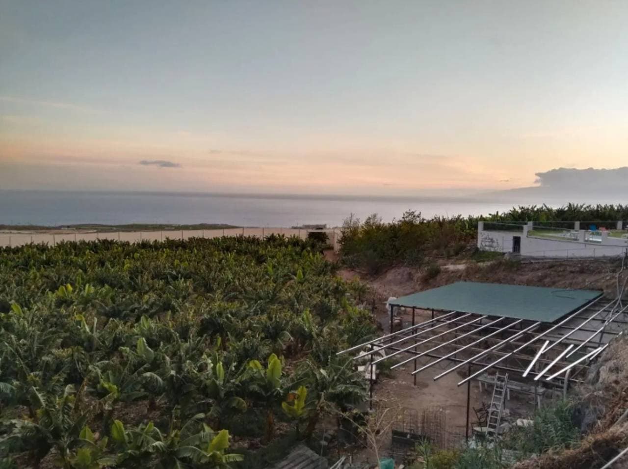 Foto 13 von 33: Urlaub 'Schöne Finca 3 mit Meerblick und Pool' mit Gemeinschaftspool, privater Terrasse und Wi-Fi