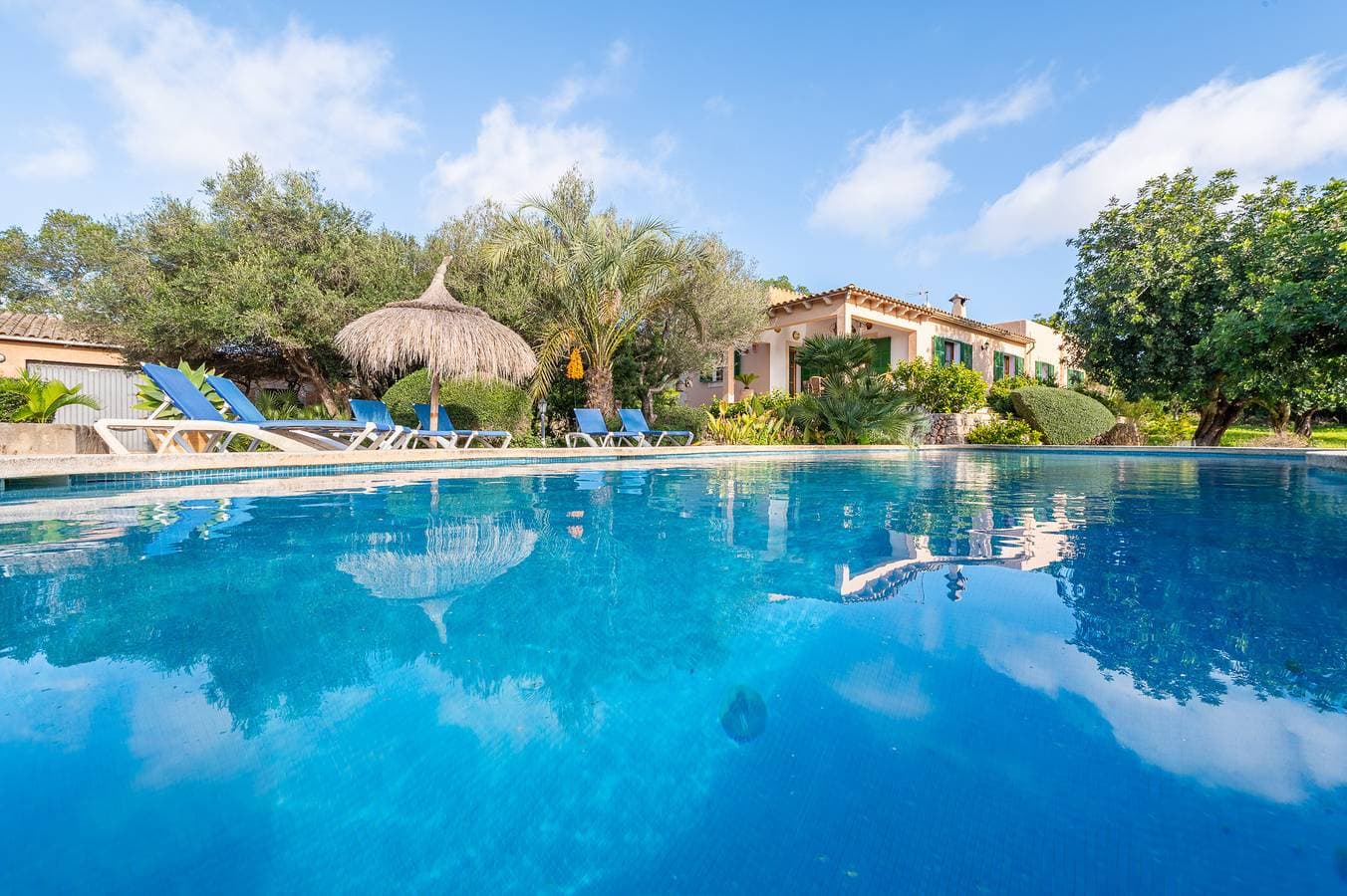 Finca Binifarda 1