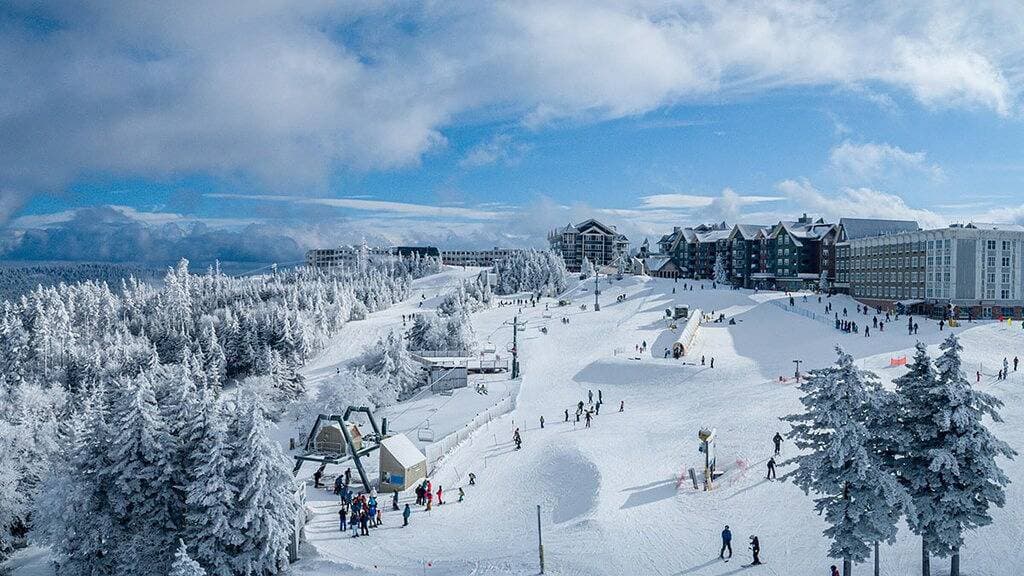 Foto 6 von 15: Overlook at Snowshoe Getaway