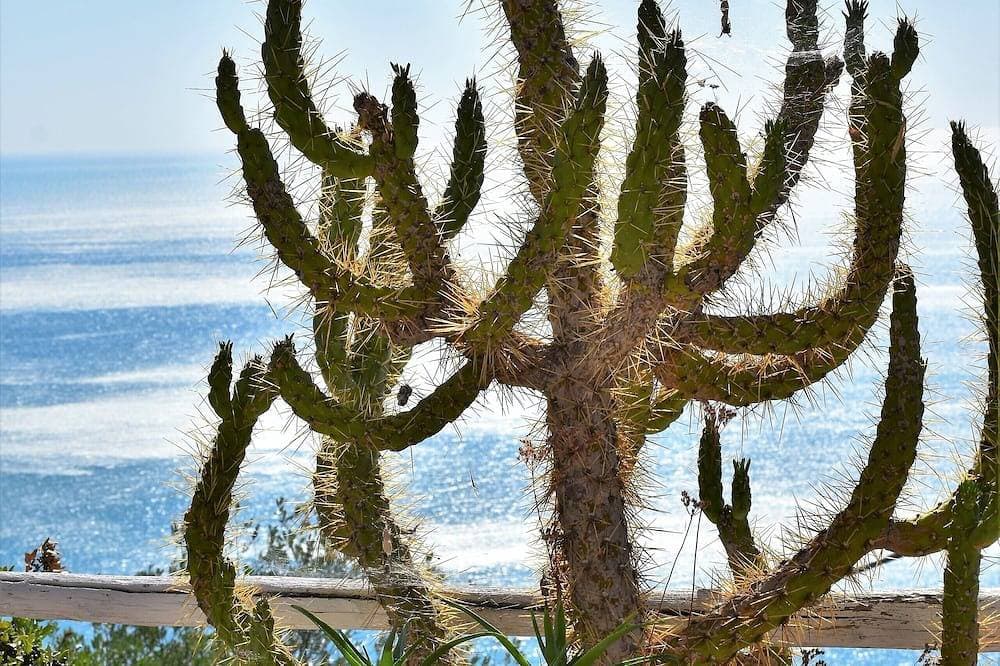 Foto 5 von 30: - Gli Orizzonti di Agata - Wohnung mit weitem Meerblick - Margherita  -