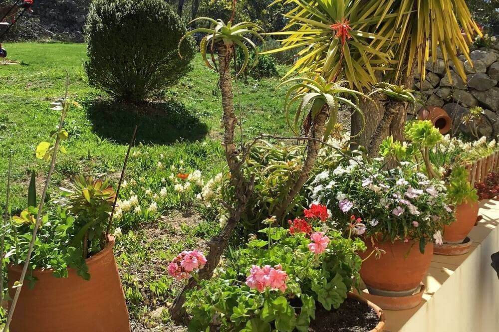 Foto 13 von 30: Algarve von seiner besten Seite