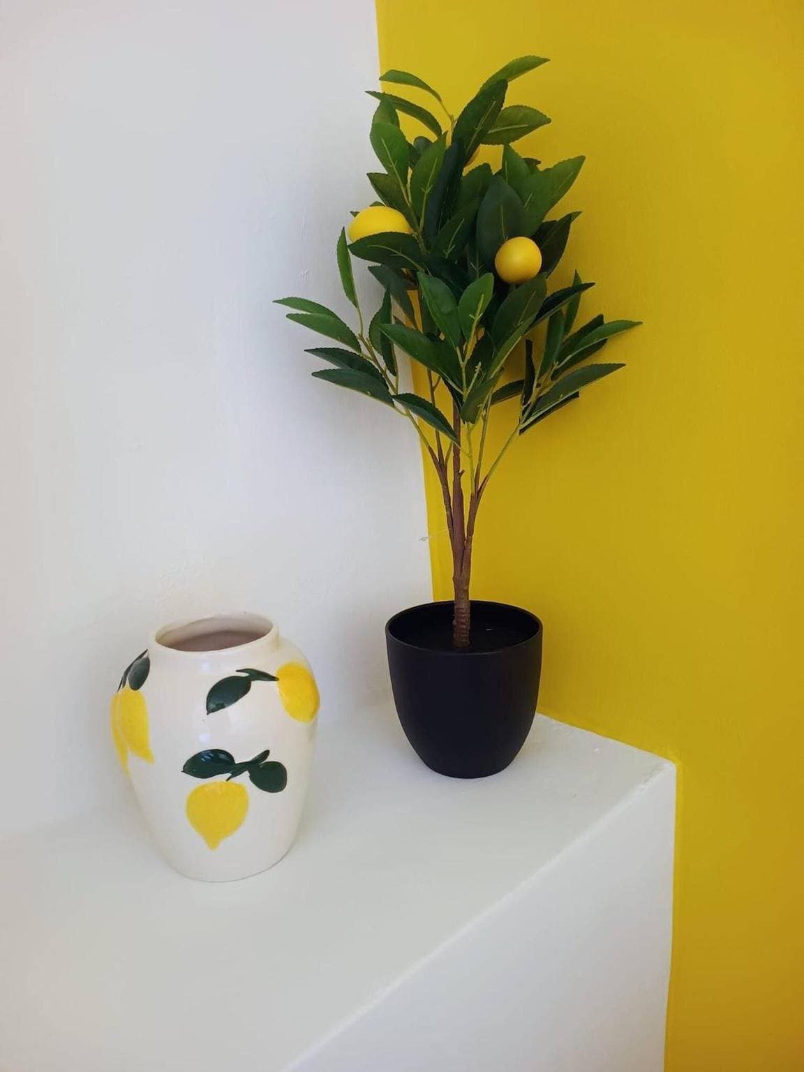 Foto 3 von 14: Zimmer „Lemon“ mit Gemeinschaftspool, WLAN und Klimaanlage