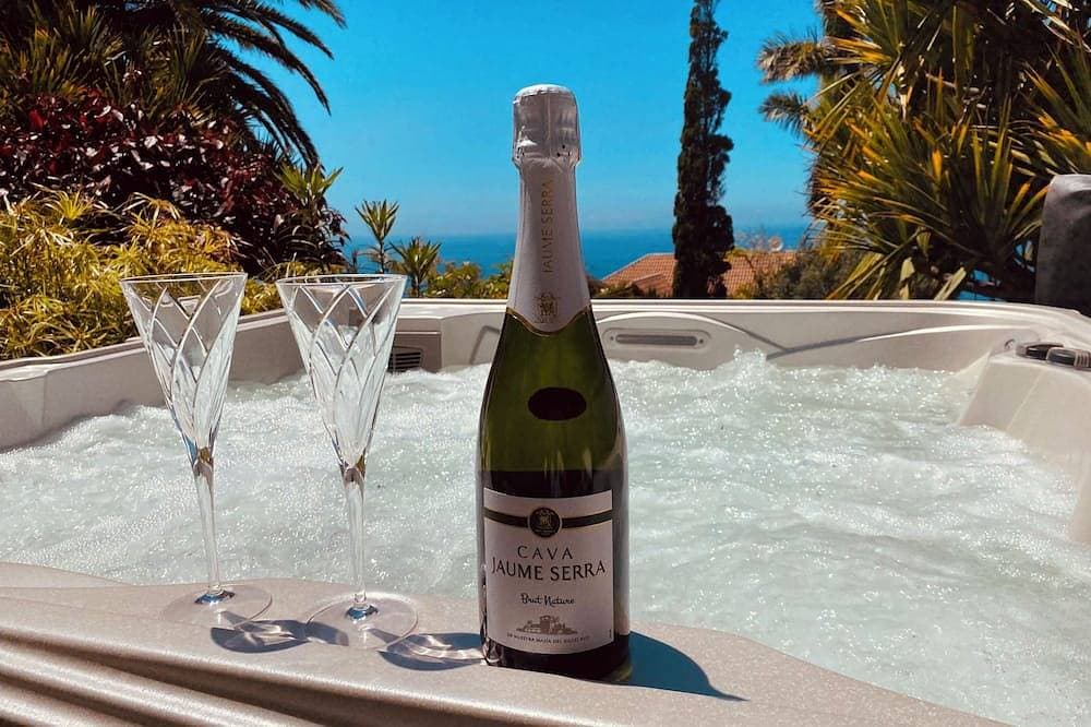 Ocean views in an oasis of lush vegetation. Jacuzzi and peace and quiet 1