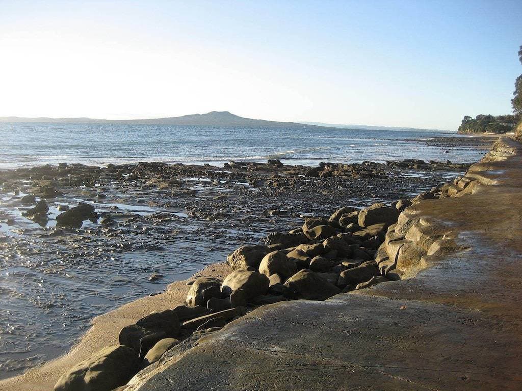 Foto 7 von 46: Küstenstudio in der schönen Mairangi Bay