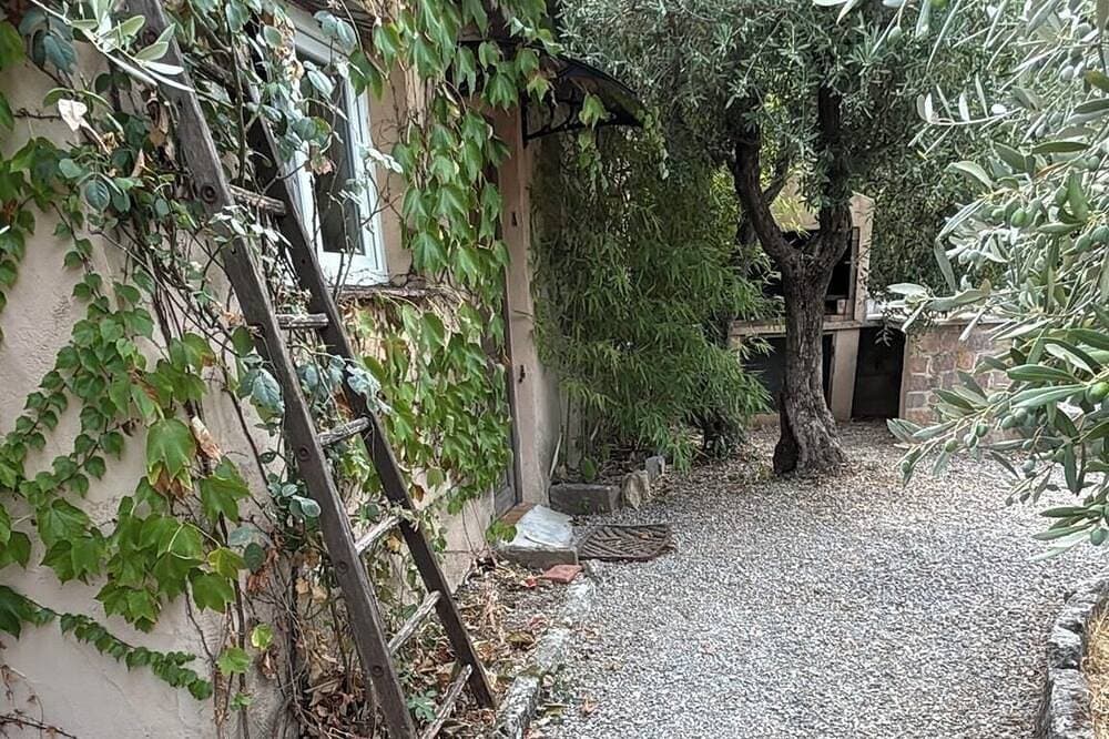 Foto 8 von 27: Casa Geco: Peace and Quiet, Nature, a Pool, and Independence