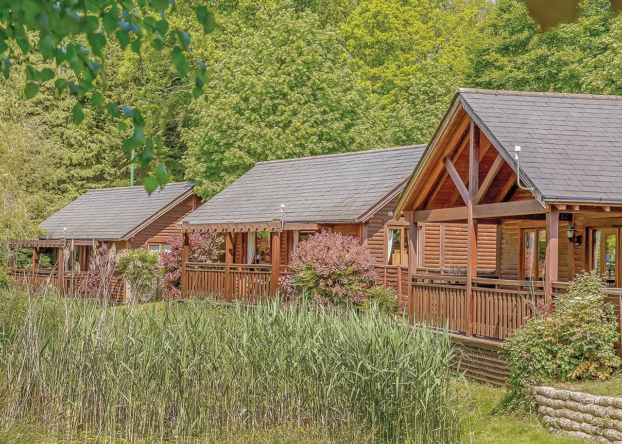 Foto 3 von 9: Falkner Watersedge Lodge