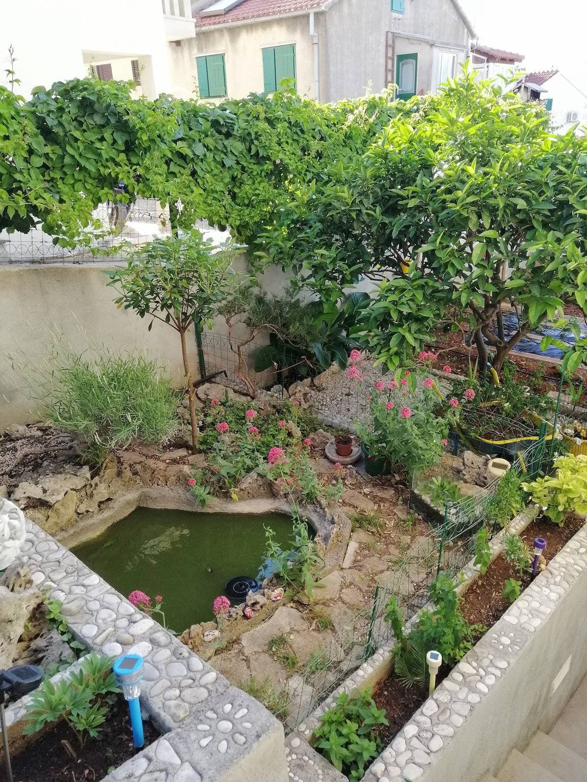 Foto 6 von 36: 1-Zimmer-Ferienwohnung mit Terrasse und Meerblick Postira (Brac) -a