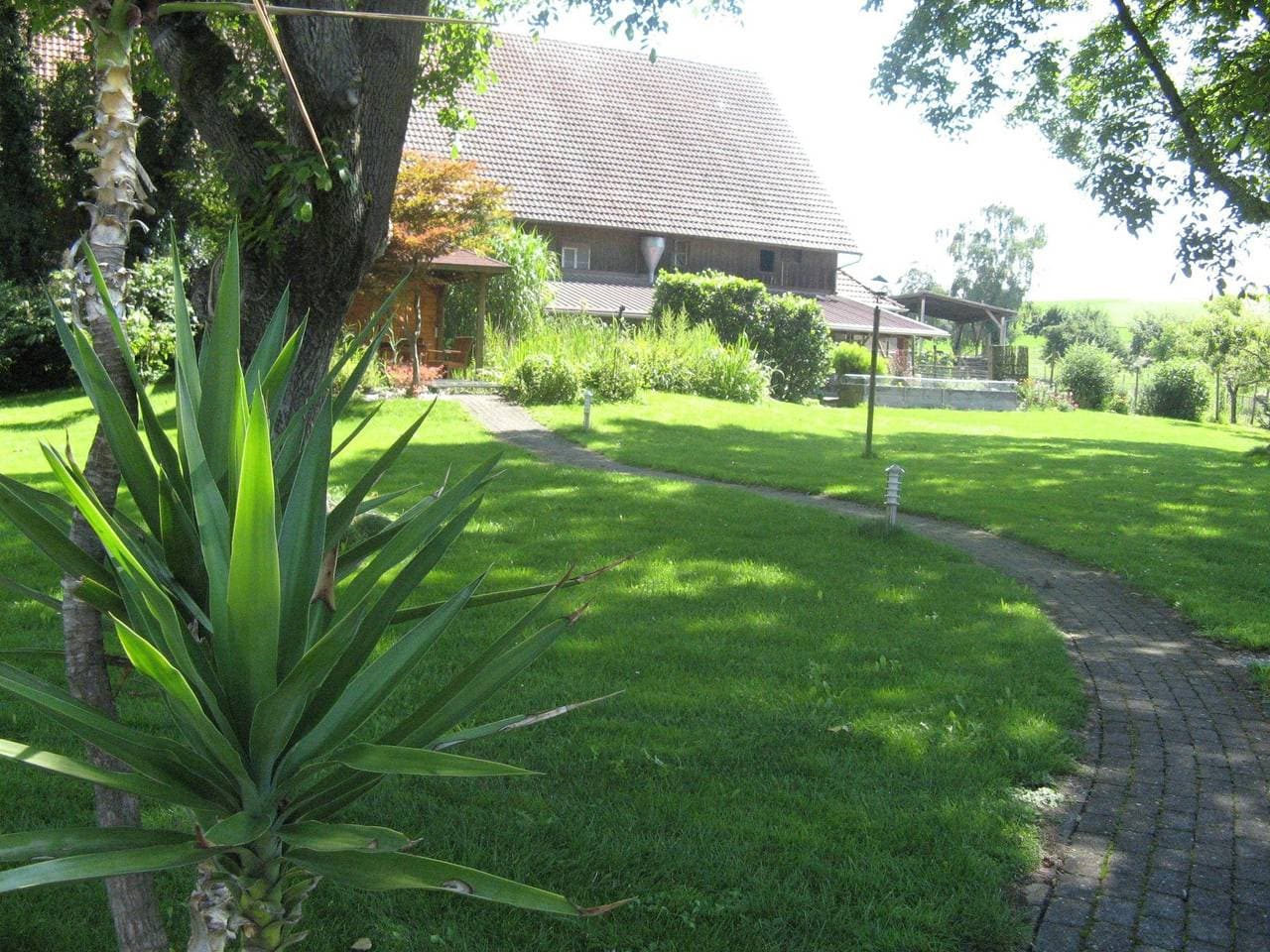 Foto 4 von 17: Nussbaum
